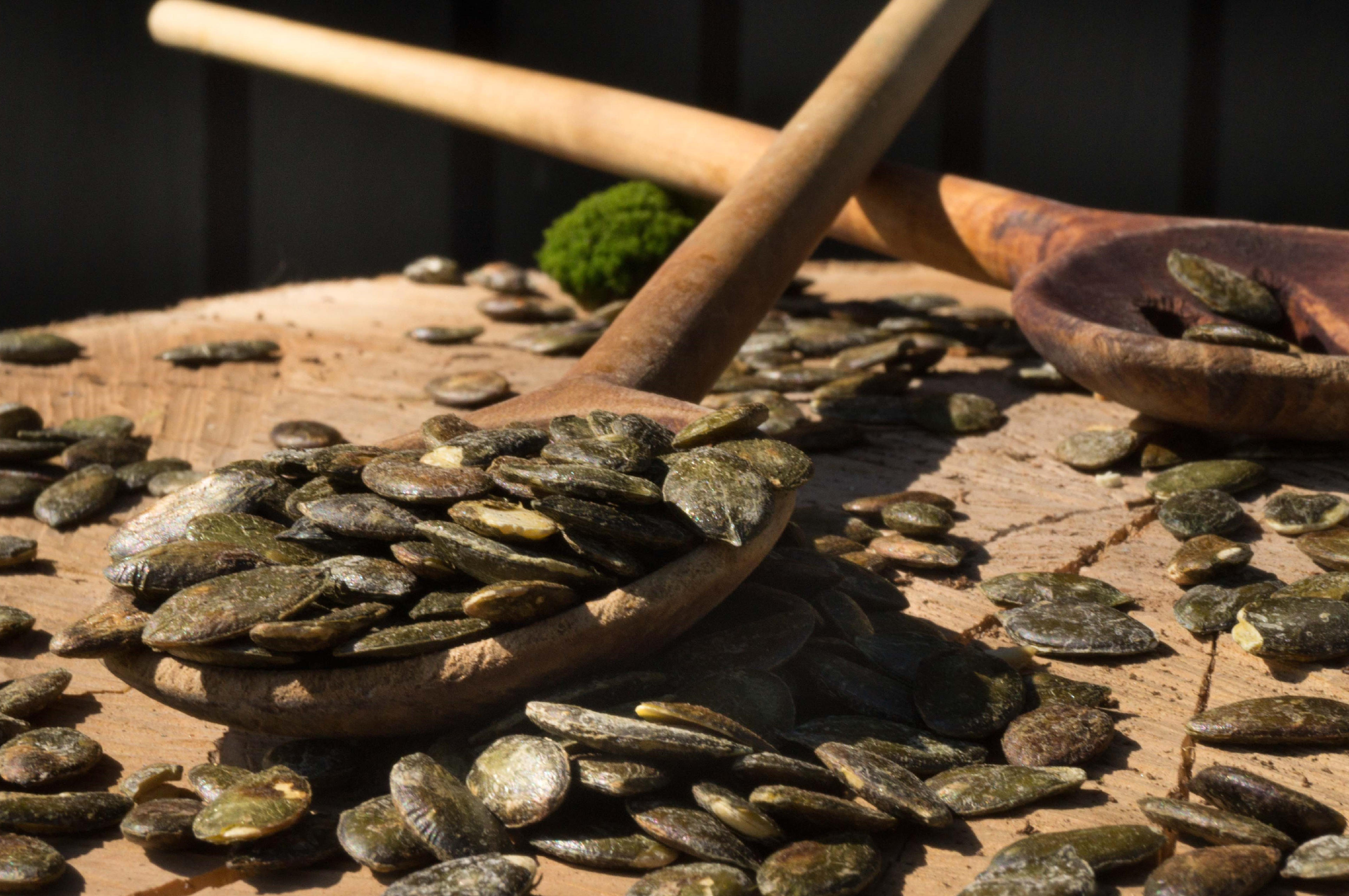 Steirisches Kürbisfeld bei Sonnenuntergang